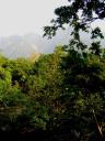 Sivananda Ashram Rishikesh