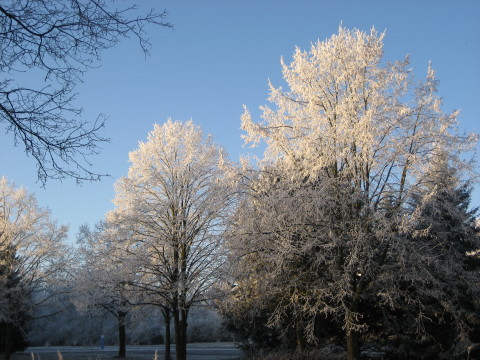 Haus Yoga Vidya Bad Meinberg Parklandschaft im Winter