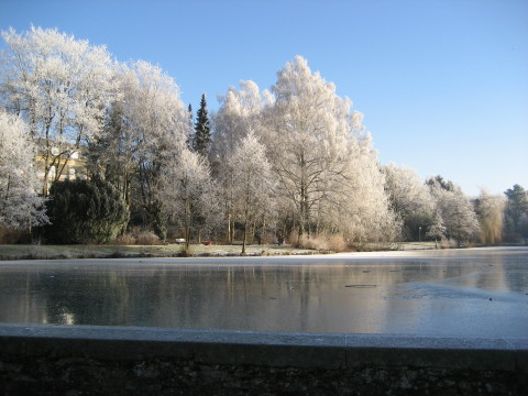 Haus Yoga Vidya Bad Meinberg Parklandschaft im Winter