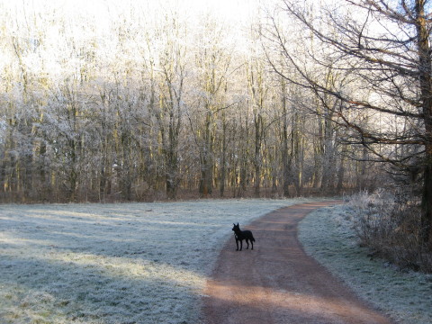 Haus Yoga Vidya Bad Meinberg Parklandschaft im Winter