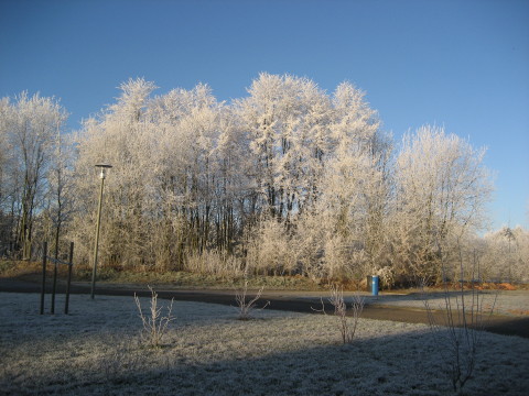 Haus Yoga Vidya Bad Meinberg Parklandschaft im Winter