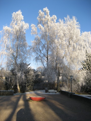 Haus Yoga Vidya Bad Meinberg Parklandschaft im Winter