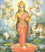 laxmi01_klein