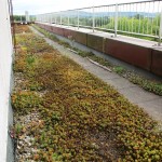 Rund ums Haus