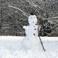 schneemann
