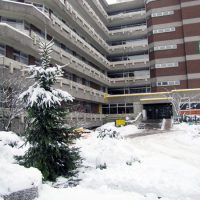 weihnachtsbaum_draussen