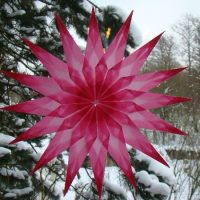 weihnachtsstern2