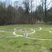 Venusblume in Bad Meinberg