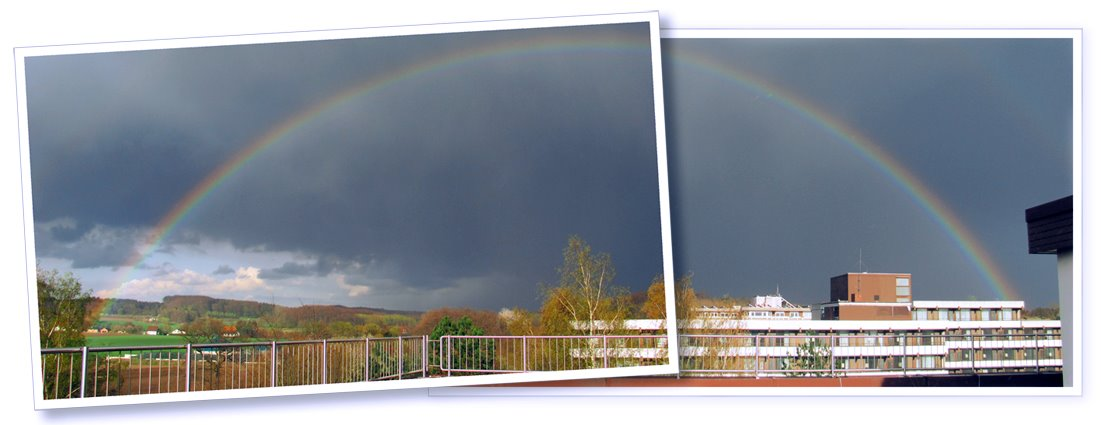 Regenbogen