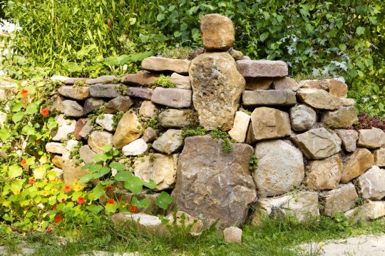 Mauer mit Brunnenkresse