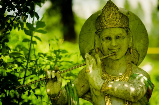 YogaVidya-Westerwald 
