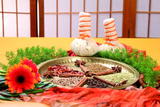 Ayur-Gewürze