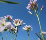 06.05.13 Frühling 2013 219