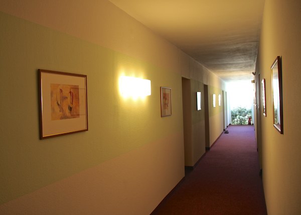 Gaesteflur
