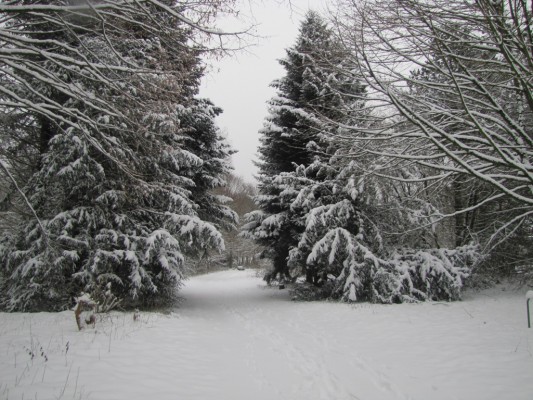 03 Winter 130