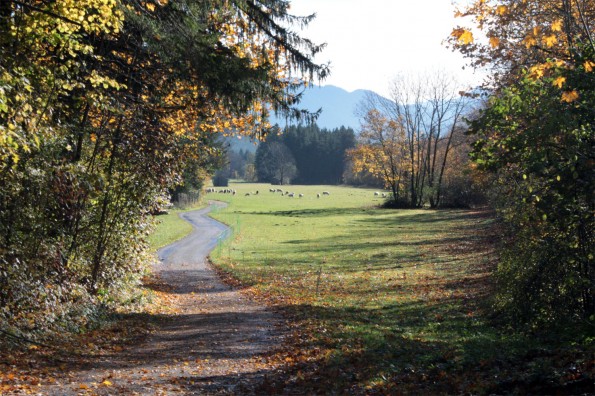 1_Herbstwanderung