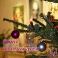 Weihnachten 2014 Yoga Vidya
