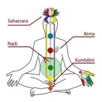 Lage der Chakras