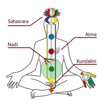 Lage der Chakras