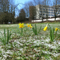 Blauer Himmel & Hagel