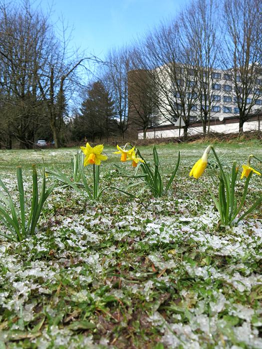 Blauer Himmel & Hagel
