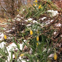 Aprilwetter 2015
