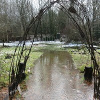 Regen bringt Segen