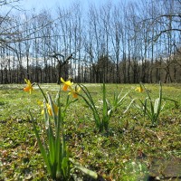 Aprilwetter 2015