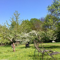 Yoga-Obstwiese-im-Mai-07