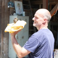 Birdy_2