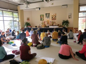 Weltvegantag-Yoga-Vidya_065