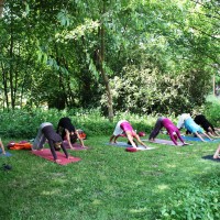 Asana intensiv1 - Kopie