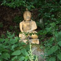 Buddha