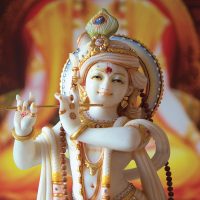 Shivalaya-Krishna-medium