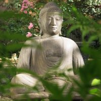 Buddha im Schweigegarten