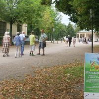 Bad Meinberger Straßenmusik