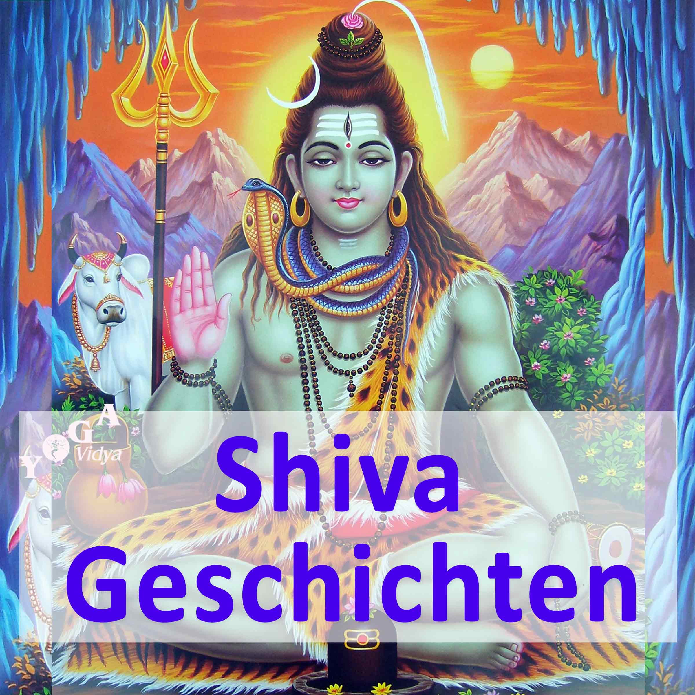 Shiva Geschichten