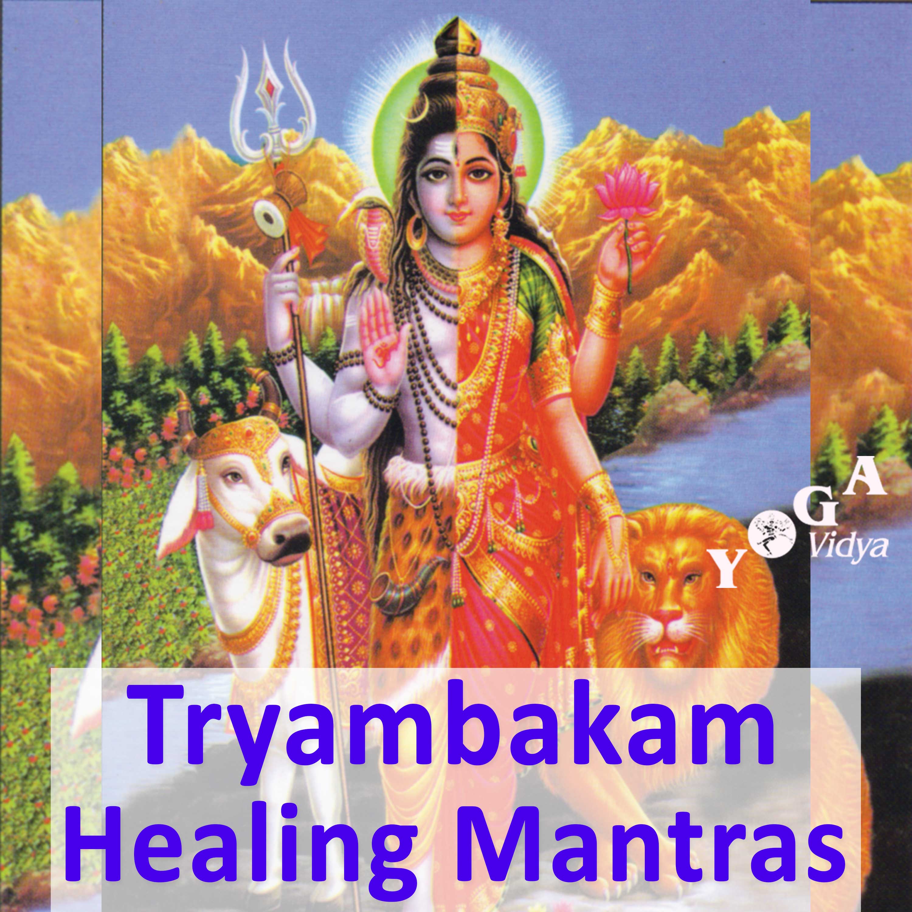 Om Tryambakam Yajamahe Healing Mantra