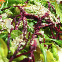 Sommersalat