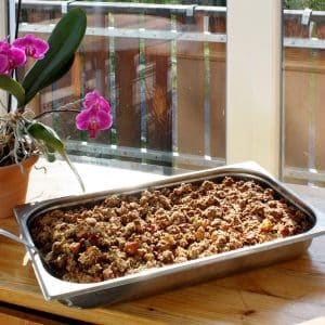 Veganer Apfelkuchen