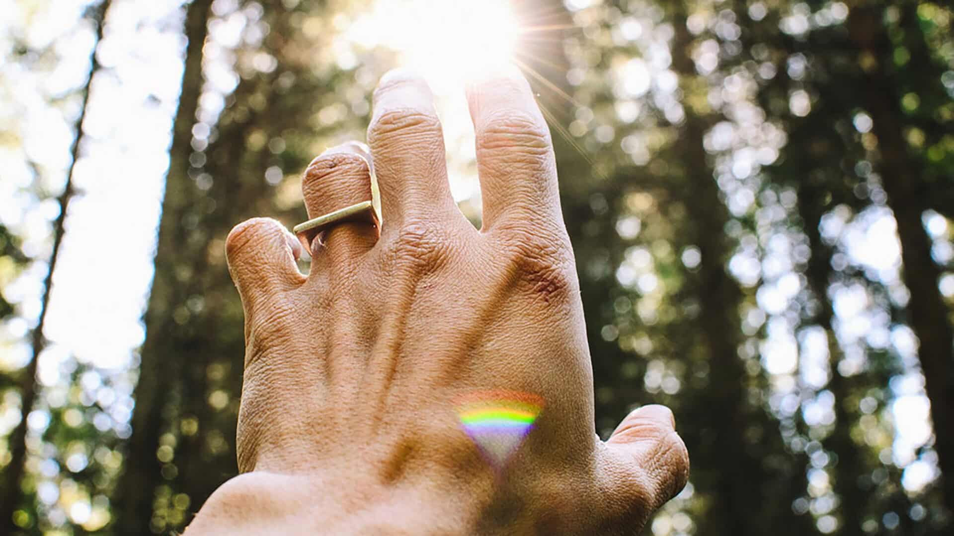 Sonne, Hand, Licht - Ganzheitlicher Yoga und Natur