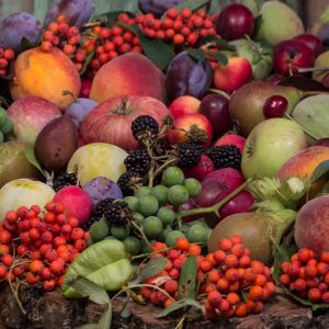 Rezept des zellstärkenden Safts mit Äpfeln, Preiselbeeren und Pflaumen