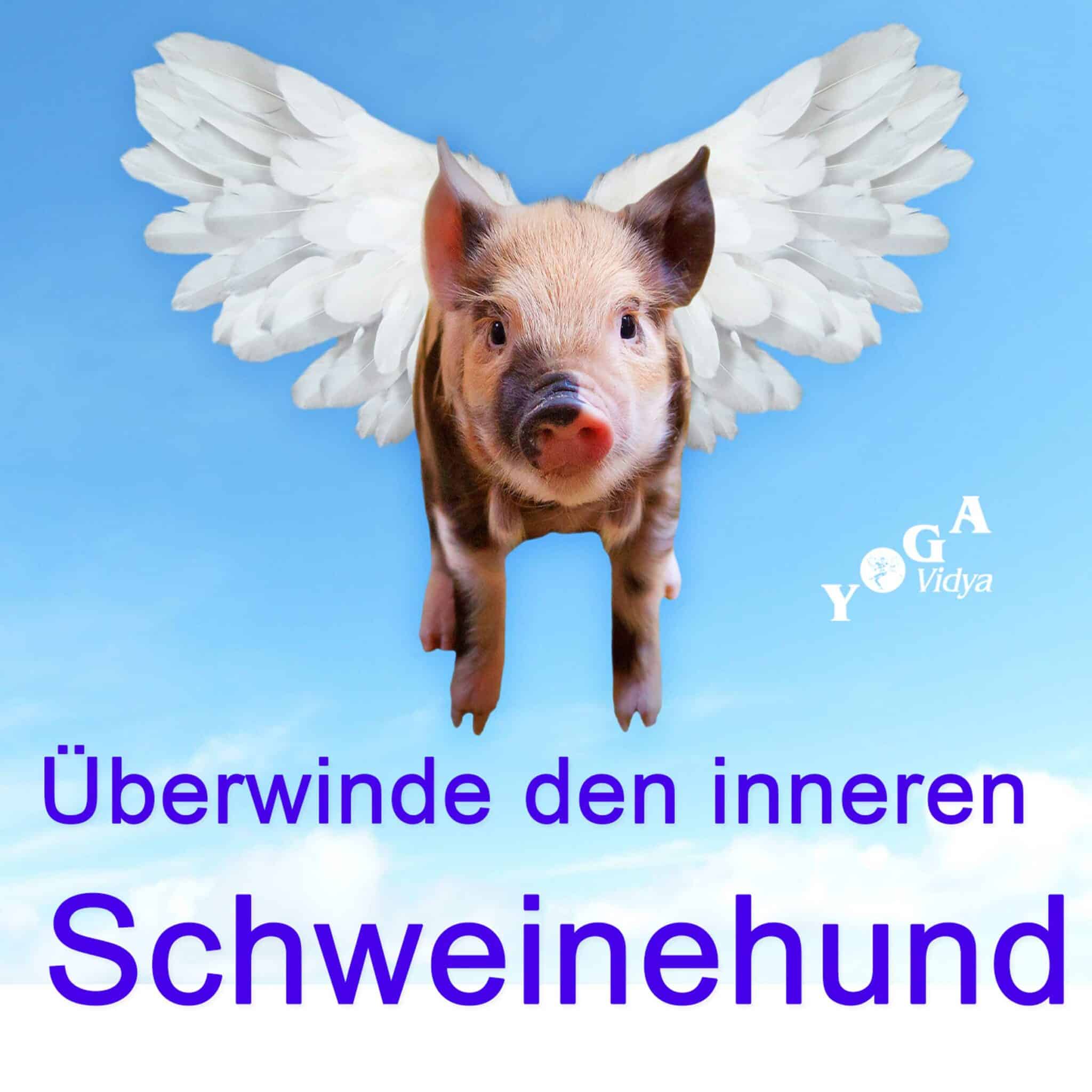 Den inneren Schweinehund Überwinden Podcast