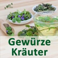 Cover Art des Gewürze und Kräuter Podcast