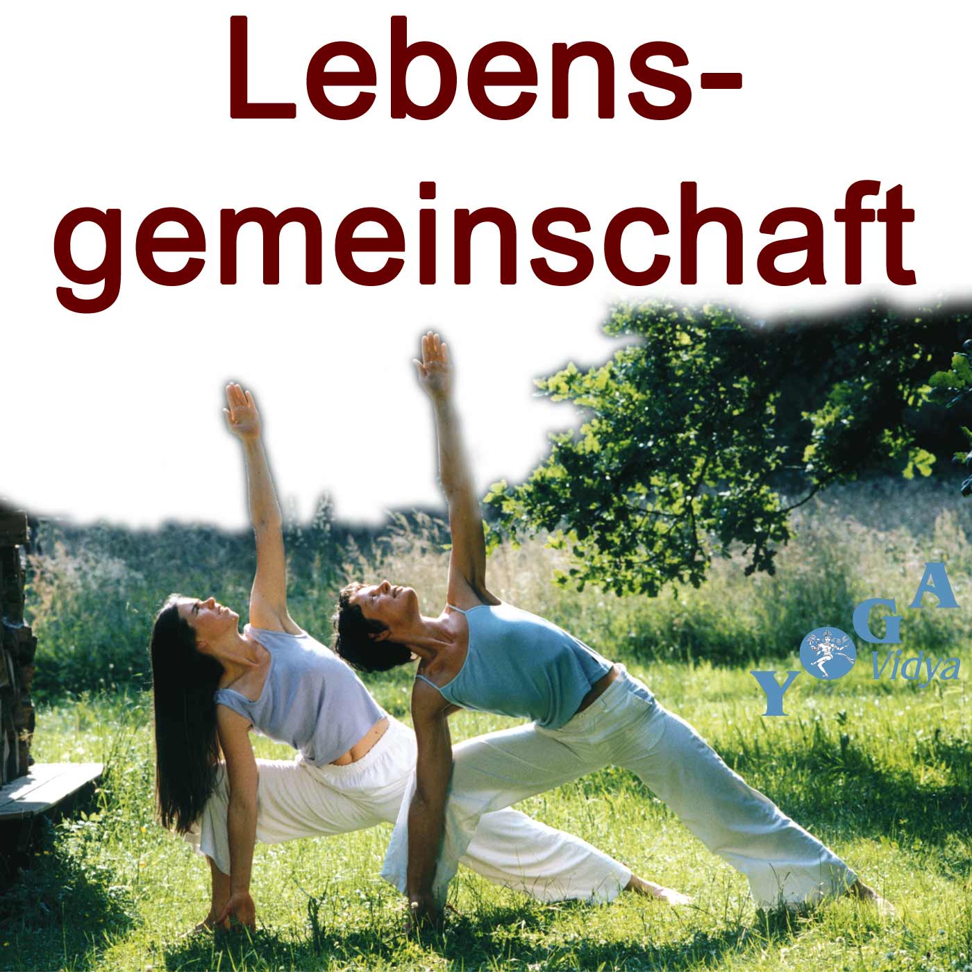 Cover Art des Lebensgemeinschaft Yoga Vidya Podcast