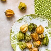 Physalis