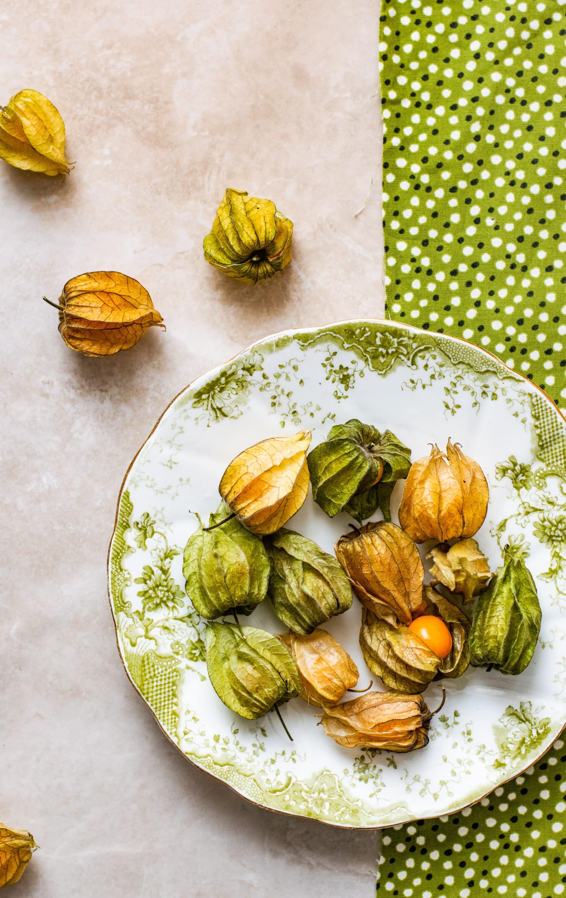 Physalis