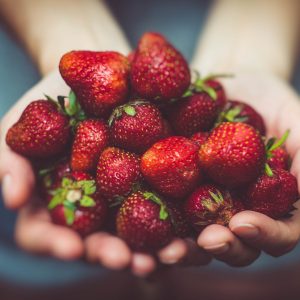 Eine handvoll Erdbeeren