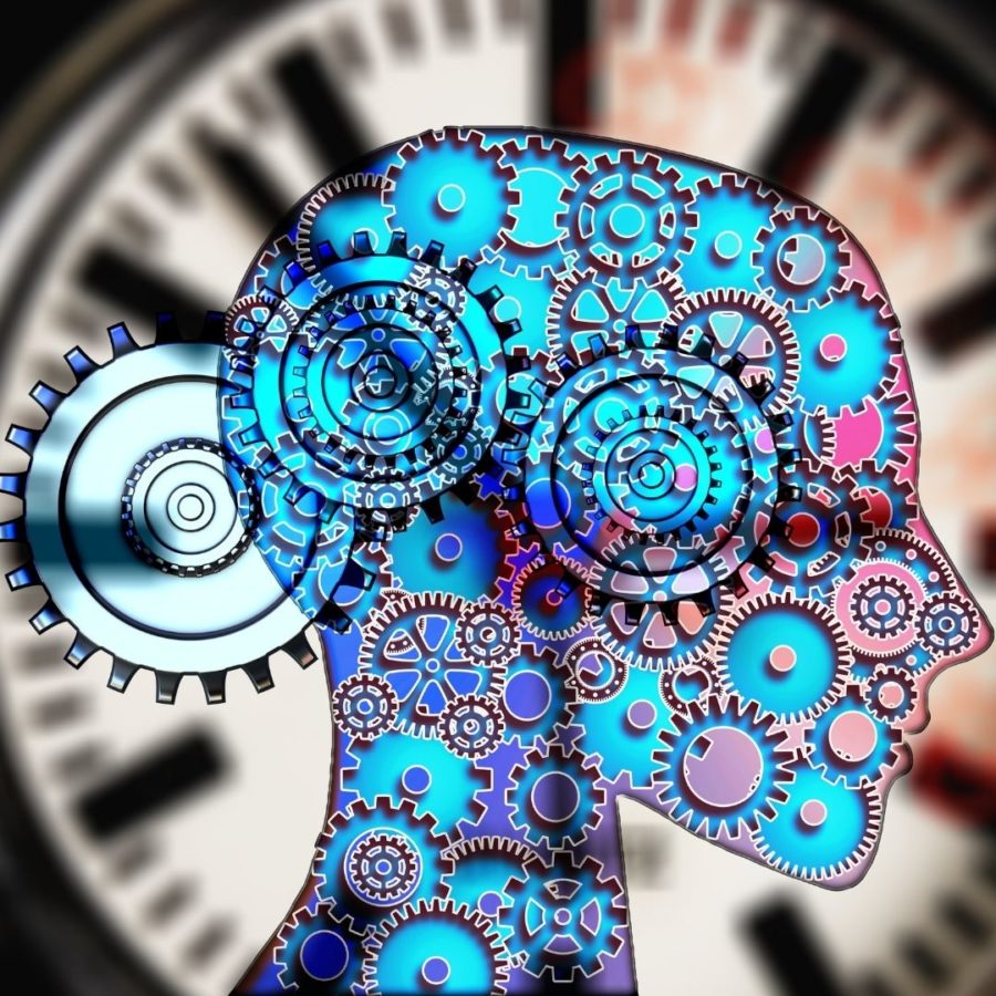 Je nachdem welcher Philosophie man folgt, nennen wir den, der es glauben muss entweder den Kopf, den Geist, die Psyche manchmal auch das (Unter-) Bewusstsein oder einfach das Ich. 