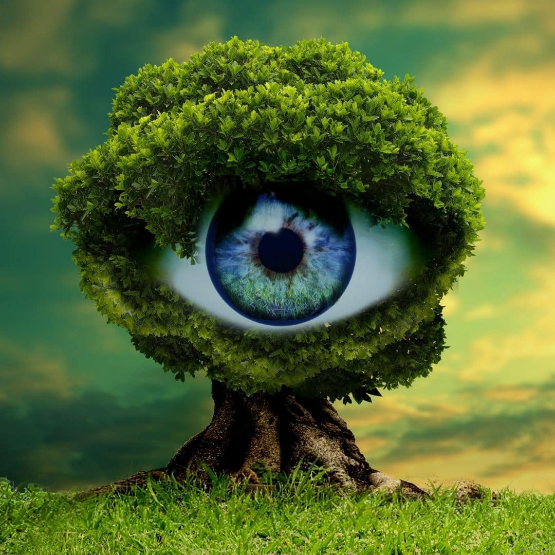 Der Yogaworkshop zum Thema Auge war wirklich spannend mit viel Praxis und Theorie